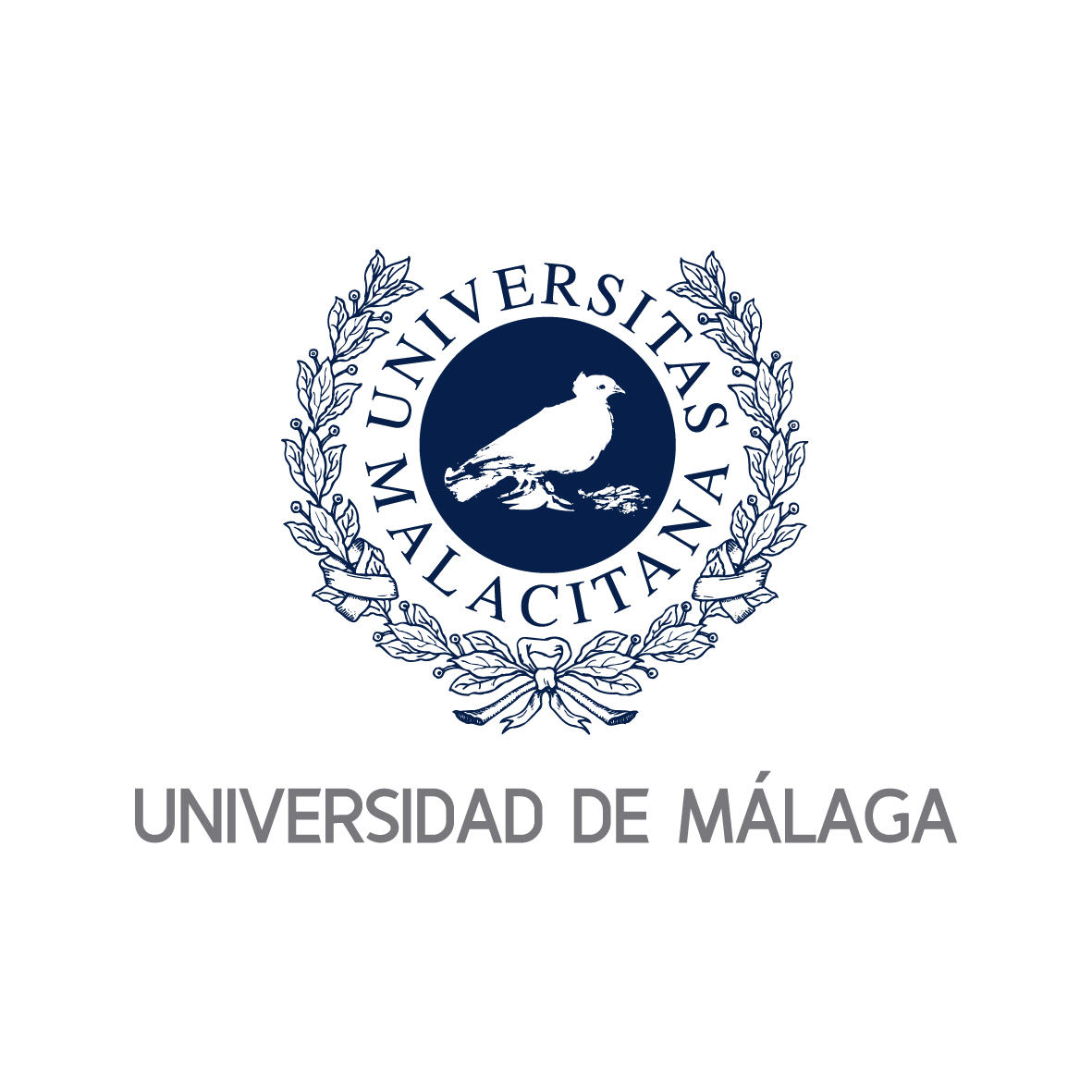 University of Malaga chooses ASIM paper for first prize in Research Excellence