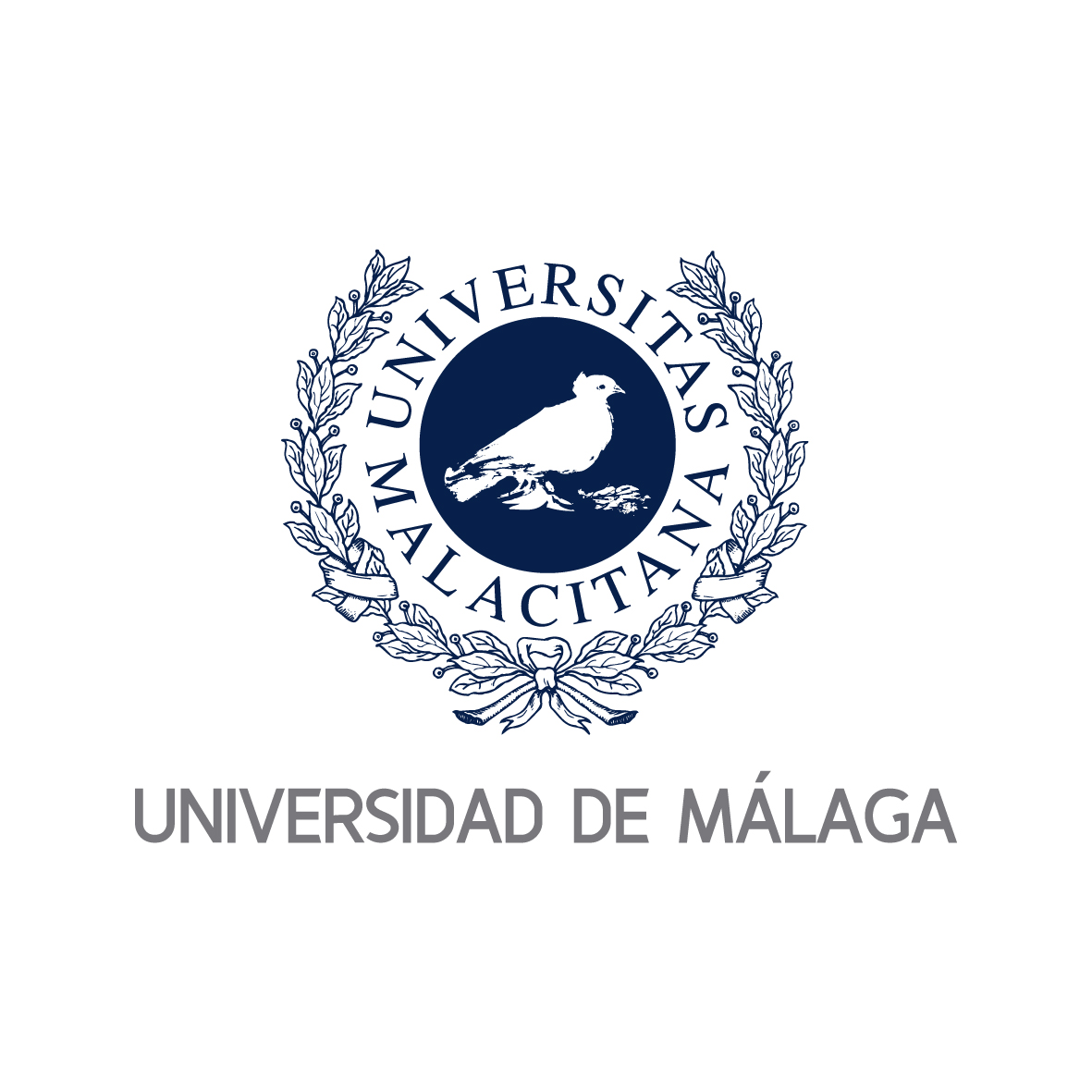 University of Malaga chooses ASIM paper for first prize in Research Excellence